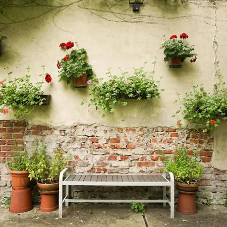 For 12 Guests In Center Appartement *